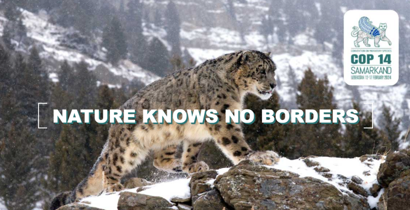 La Nature ne connaît pas de frontières - COP14 CMS
