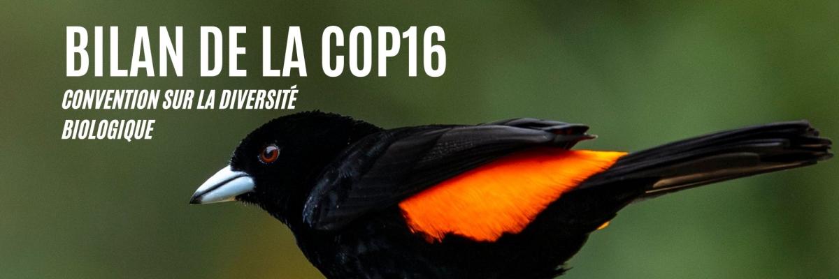 Bilan COP16 biodiversité